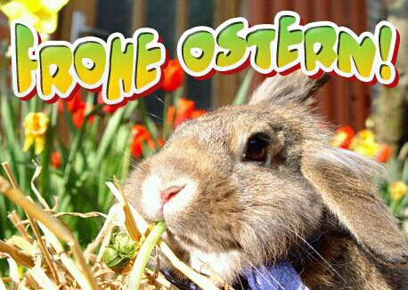 Bild Ostern